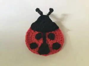 Ladybug Antenna Attached
