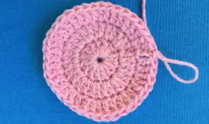 Crochet Flamingo body