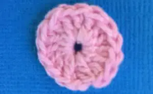 Crochet Flamingo head