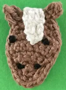 Crochet horse head with eyes
