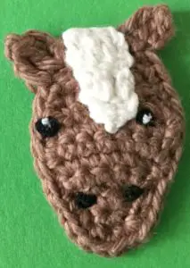 Crochet horse head with finished eyes