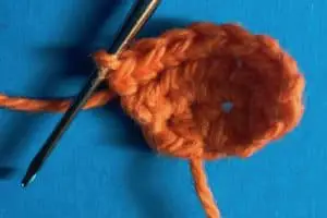 Crochet clown fish body fin