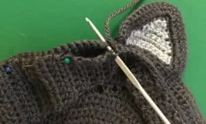 Crochet cat bag through both thicknesses