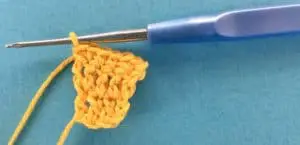 Crochet fish scrubbie body fin