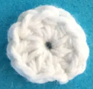Crochet fish scrubbie outer eye