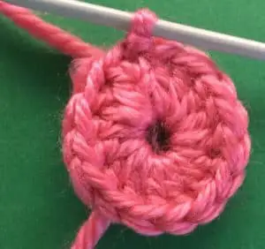 Crochet easy pig body first row