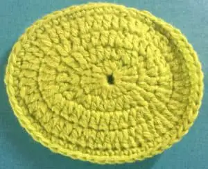 Crochet turtle body