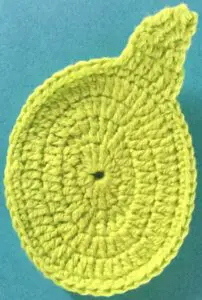 Crochet turtle body with first back leg