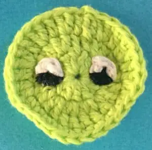 Crochet turtle head with markings on eyes