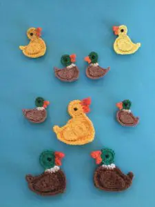 Finished crochet mallard duck pattern group portrait