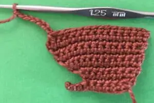 Crochet squirrel body row 10