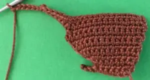 Crochet squirrel body row 12