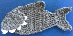 Crochet shark body with head