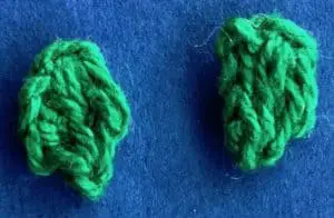 Crochet shark leaves
