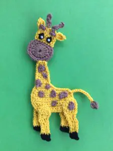 Finished crochet giraffe portrait