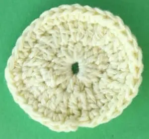 Crochet food for blanket plate