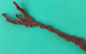 Crochet tree 6