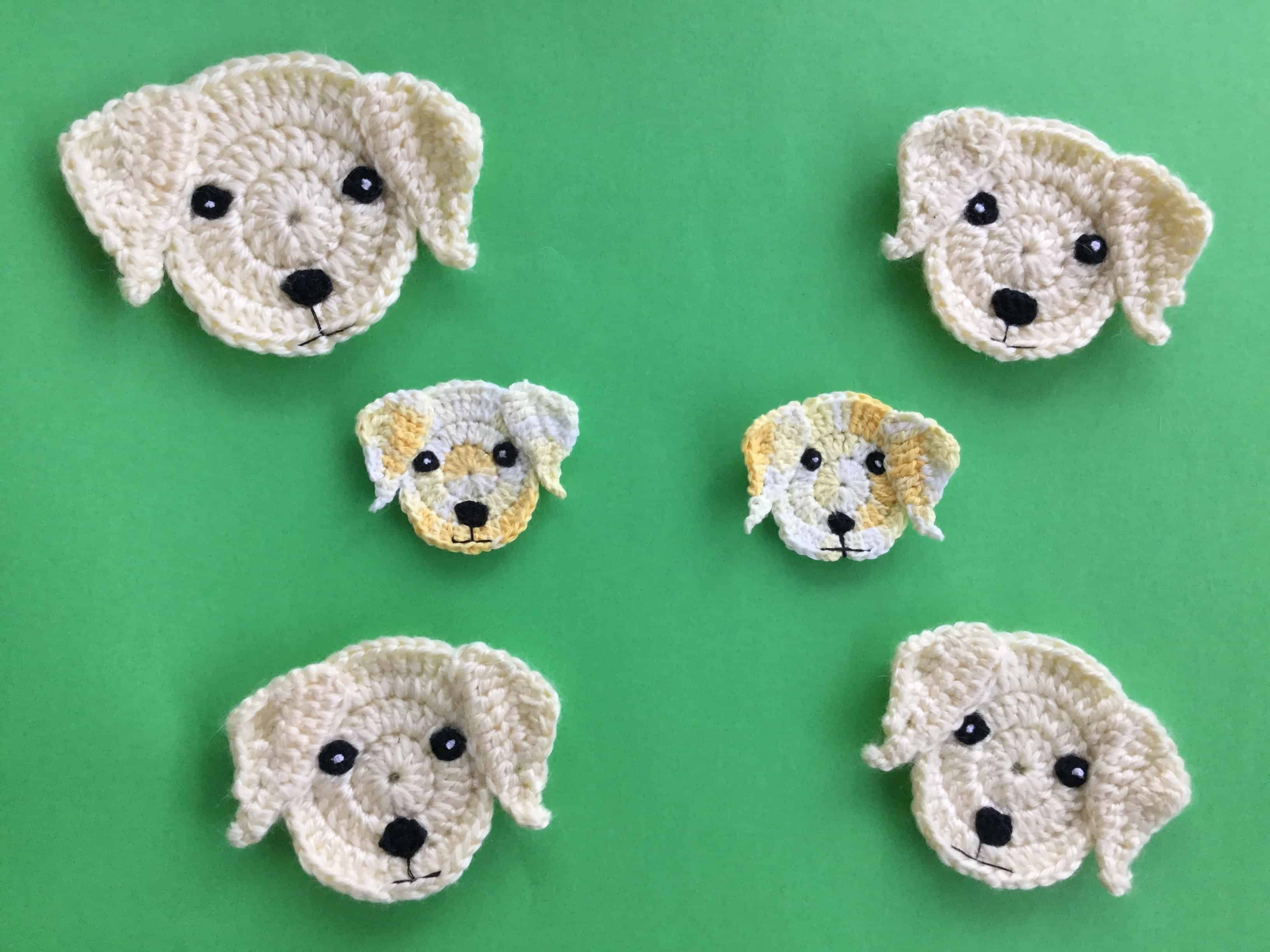 Finished crochet Labrador head group landscape