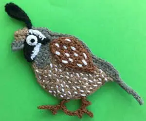 Crochet quail with plume