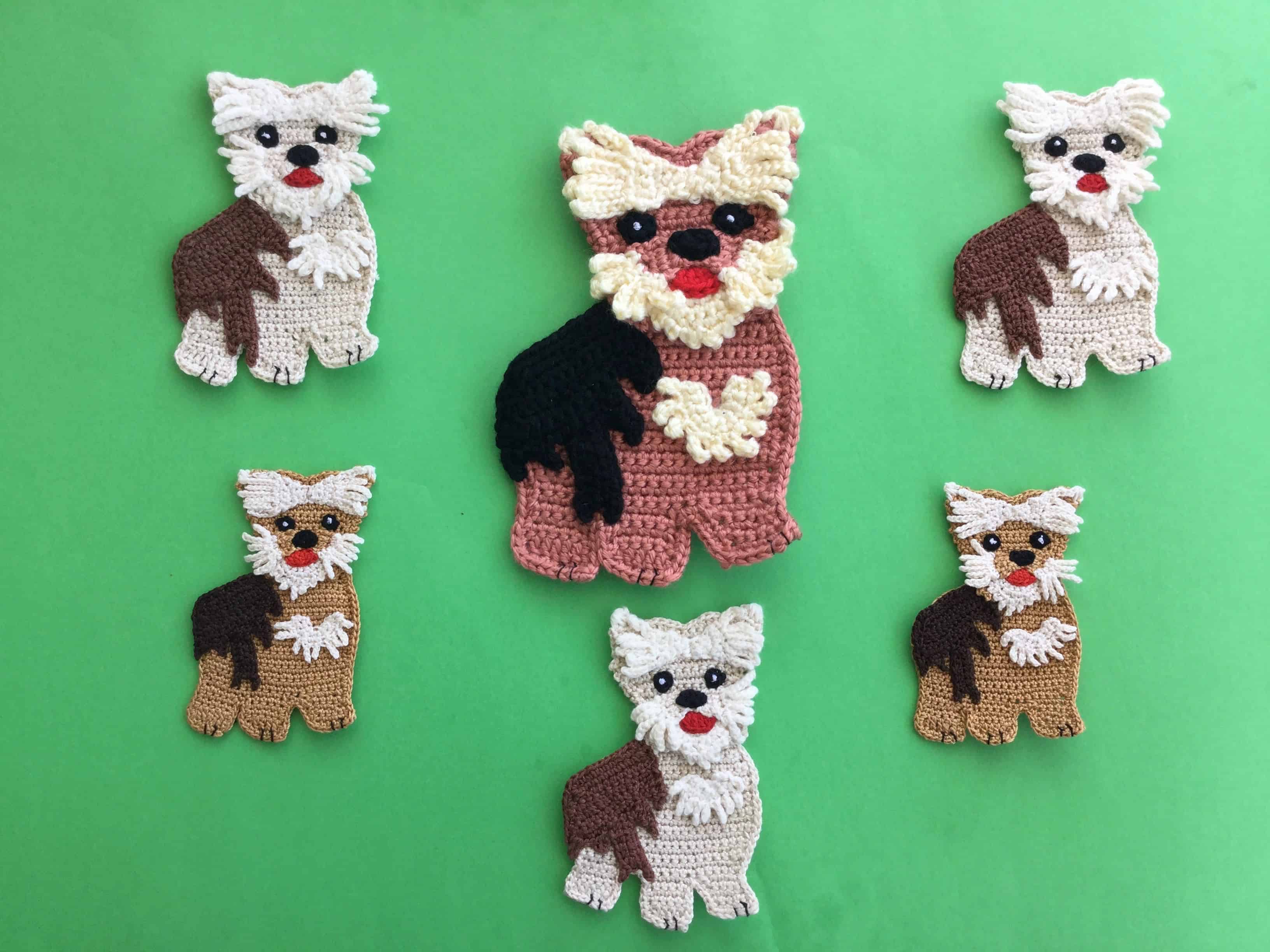 Finished crochet yorkshire terrier group landscape