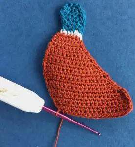 Crochet pheasant 2 ply body neatened to bottom