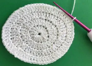 Crochet cat 2 ply joining for first ear