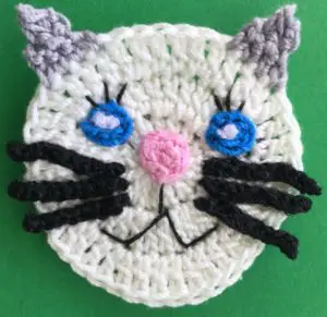 Crochet easy cat 2 ply head with eyelashes