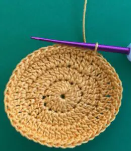 Crochet lion 2 ply body