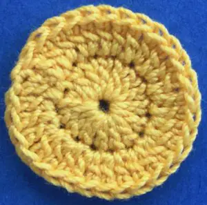 Crochet bee 2 ply head