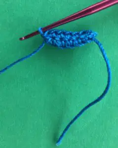 Crochet blue wren 2 ply head top