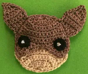 Crochet chihuahua 2 ply head with eyes
