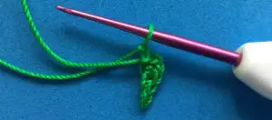 Crochet branch 2 ply leaf first half