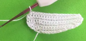 Crochet raccoon 2 ply head bottom