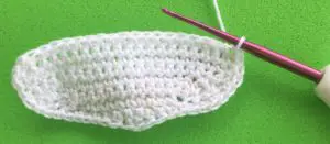 Crochet raccoon 2 ply head bottom to top neatened