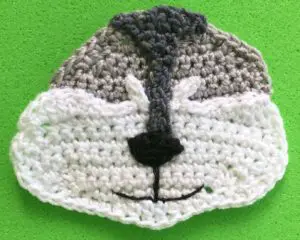 Crochet raccoon 2 ply head with mouth
