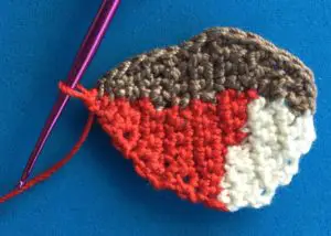 Crochet robin 2 ply body neatening row 1