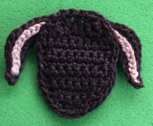 Crochet dachshund 2 ply head with ears