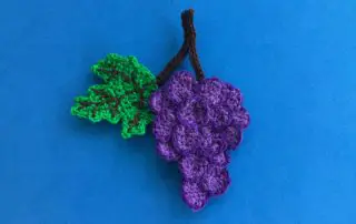 Finished crochet grapes 2 ply landscape