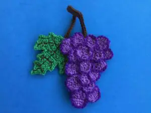 Finished crochet grapes tutorial 4 ply landscape