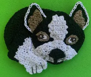 Crochet boston terrier 2 ply body with front leg