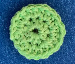 Crochet caterpillar 2 ply body first segment