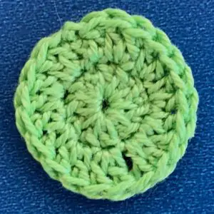 Crochet caterpillar 2 ply second segment