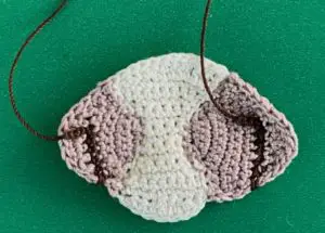 Crochet Shih Tzu 2 ply head complete