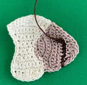 Crochet Shih Tzu 2 ply head first side neatened