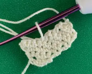 Crochet Shih Tzu 2 ply joining for muzzle second side
