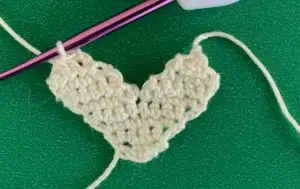 Crochet Shih Tzu 2 ply muzzle