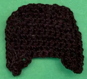Crochet border collie 2 ply head neatened