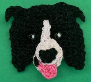 Crochet border collie 2 ply head with eyes