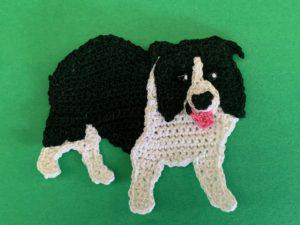 Border collie outlet knitting pattern