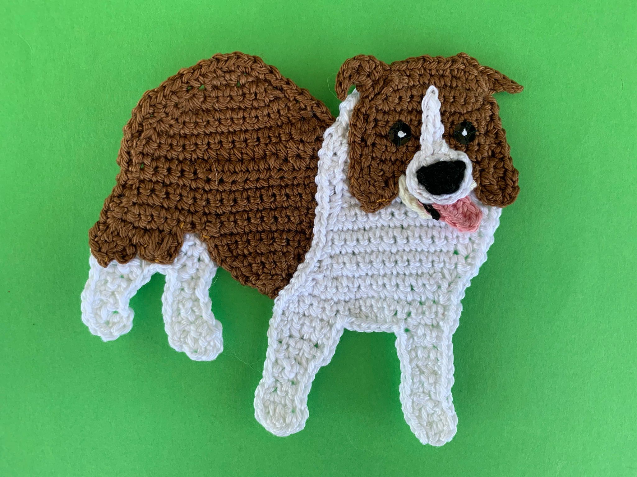 Finished crochet border collie 4 ply landscape